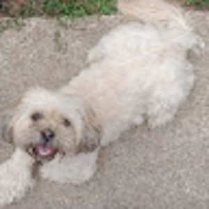 Meet your Posher, Vicky